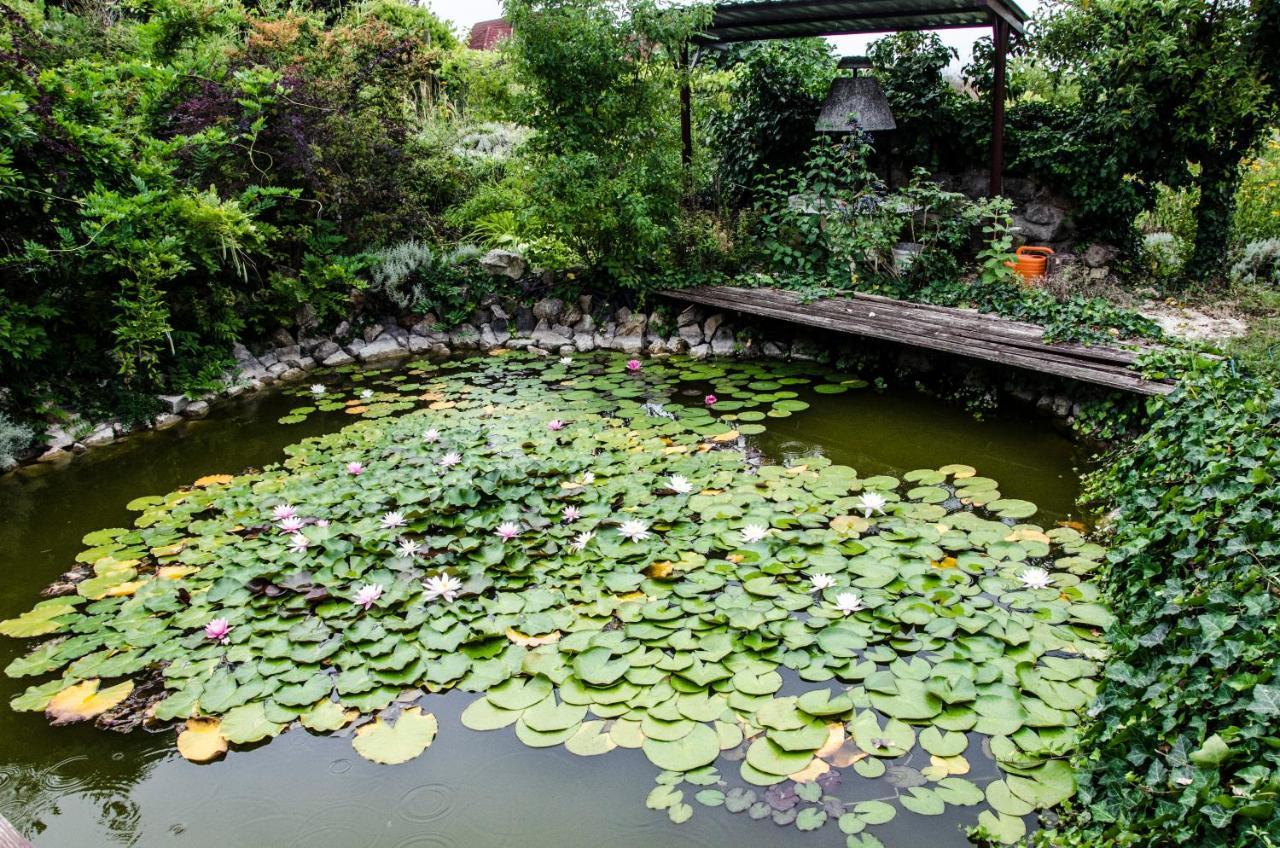 Badacsonyörs Pigal Panzio Bed & Breakfast エクステリア 写真